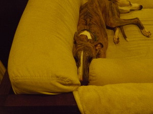 _1050098.JPG